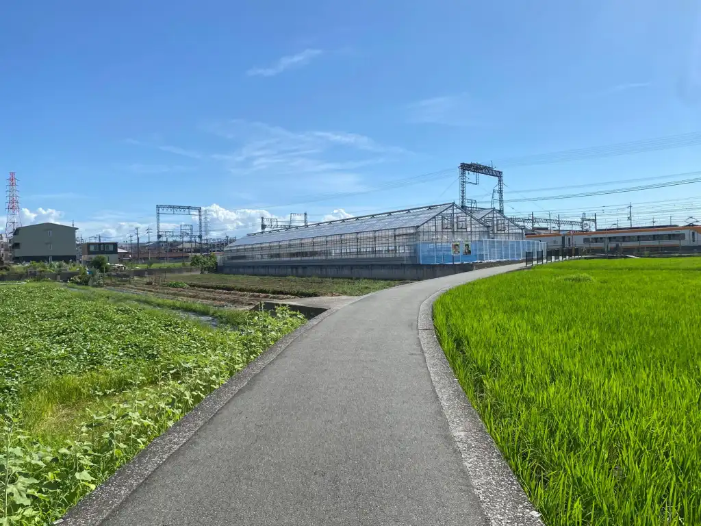 保温材料选型对比：岩棉、挤塑板与聚氨酯在节能建材中的应用差异