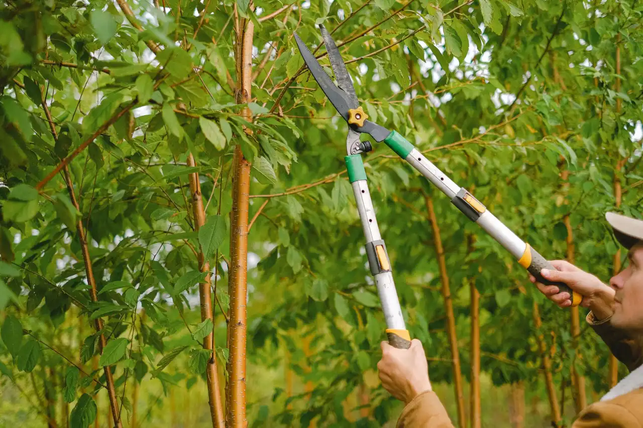 节能建材与常规保温材料性能对比分析：导热系数与耐久性差异解读正文配图 2