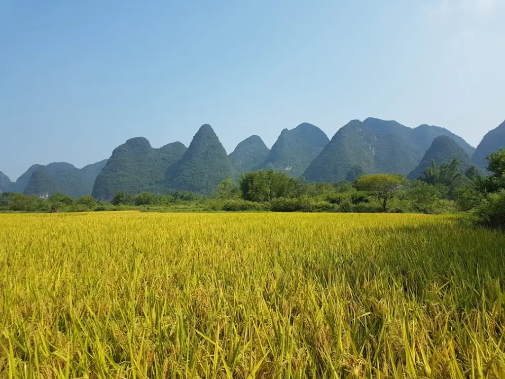 节能建材与常规保温材料性能对比：导热系数与耐久性指标解析