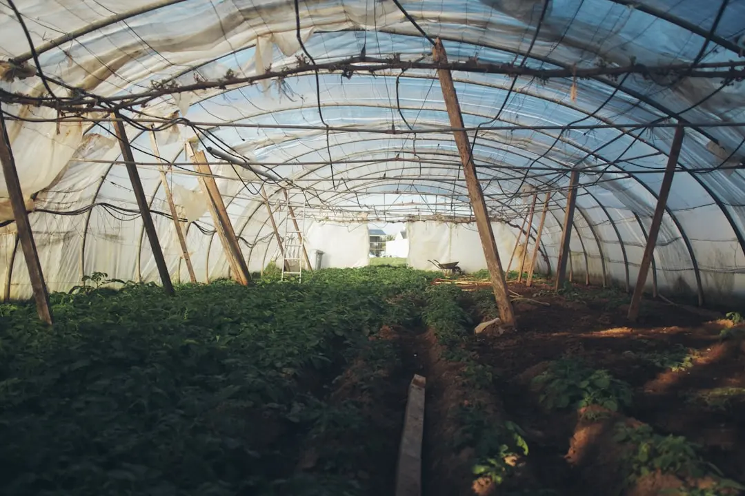 保定步康新材料：岩棉板与聚氨酯保温板性能对比及应用场景