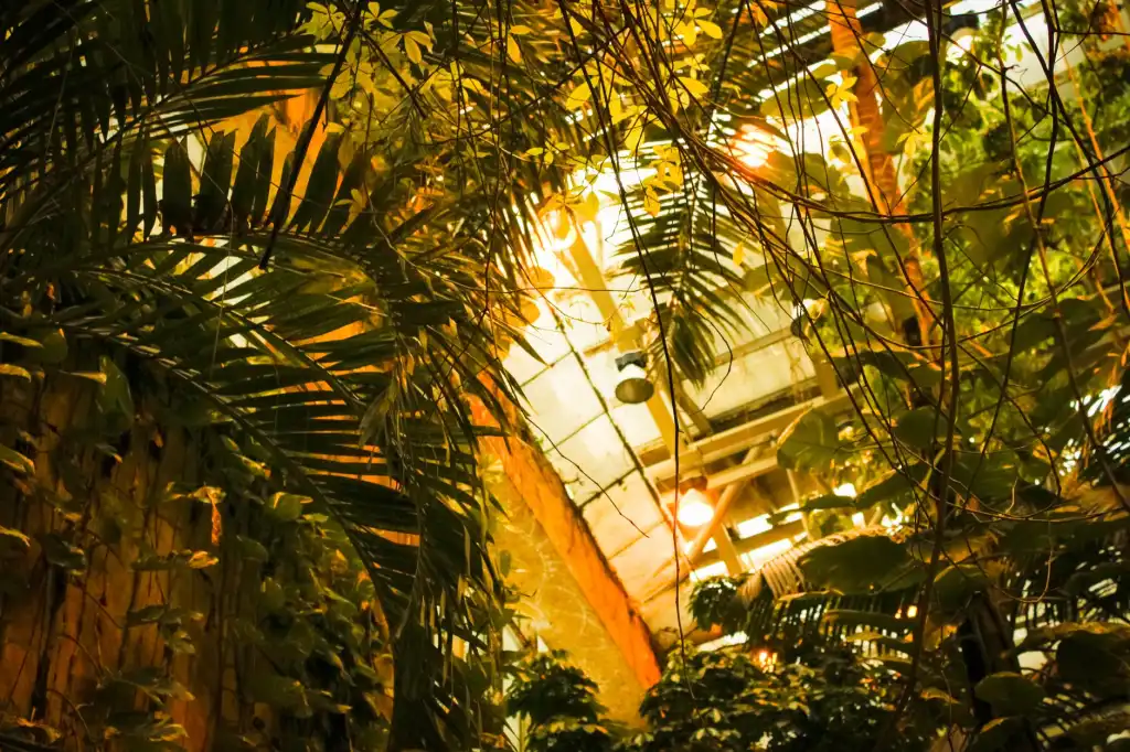 2025年保温材料标准升级对节能建材选型的影响分析